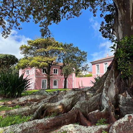Solar Dos Cantos Botanic House & Garden Понта-Делгада Екстер'єр фото