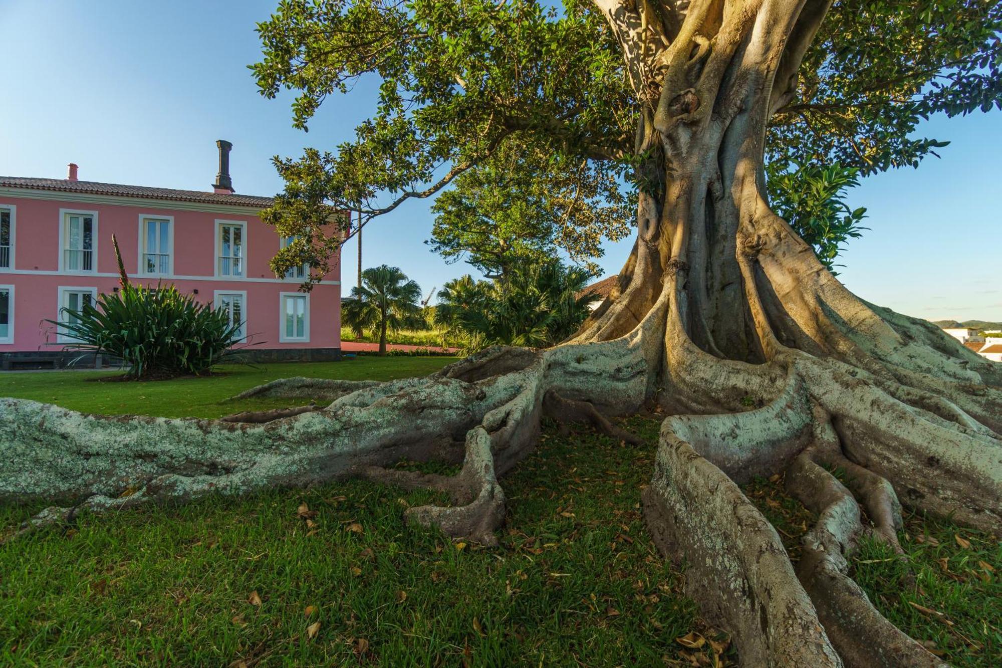 Solar Dos Cantos Botanic House & Garden Понта-Делгада Екстер'єр фото