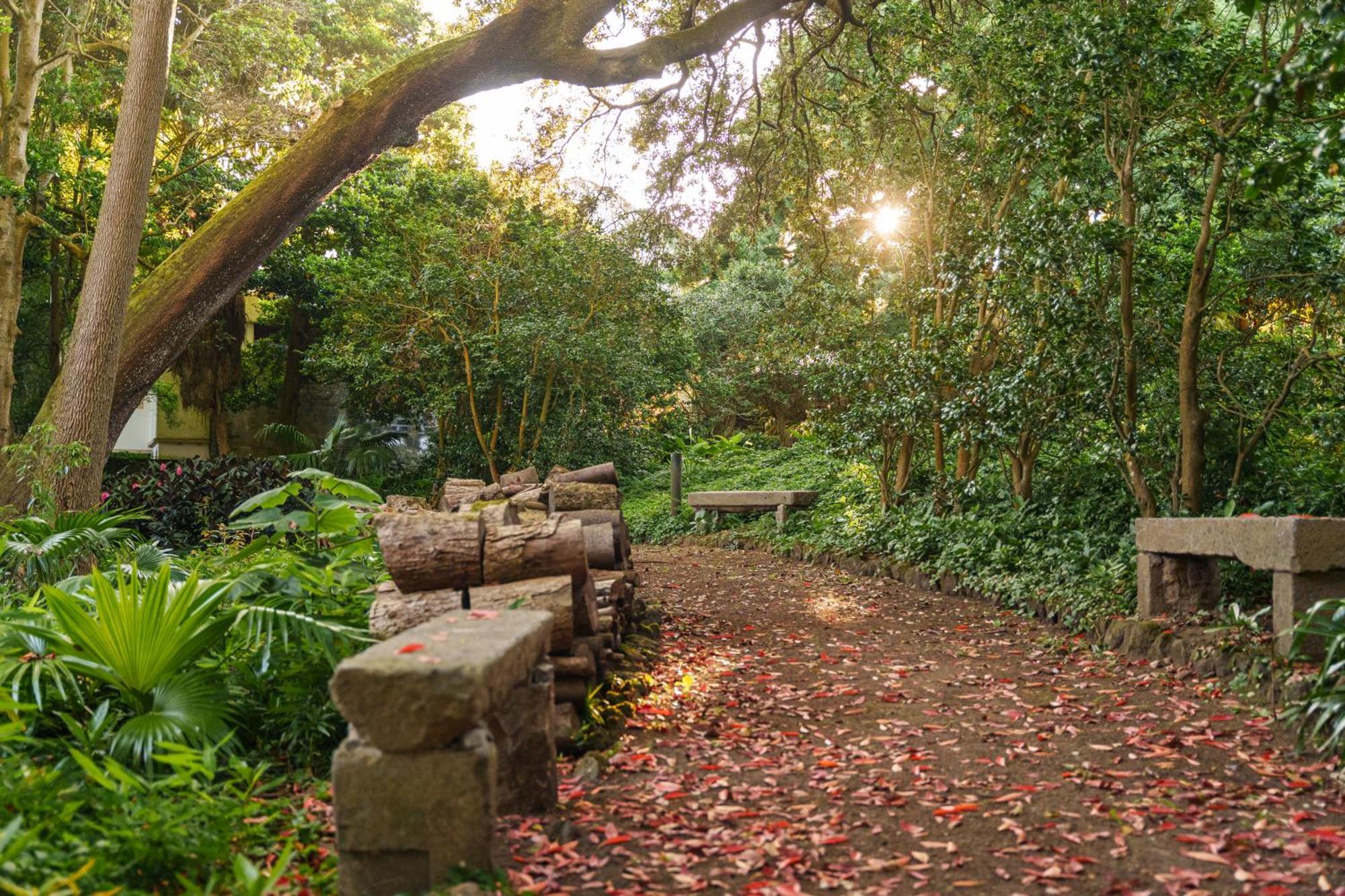 Solar Dos Cantos Botanic House & Garden Понта-Делгада Екстер'єр фото
