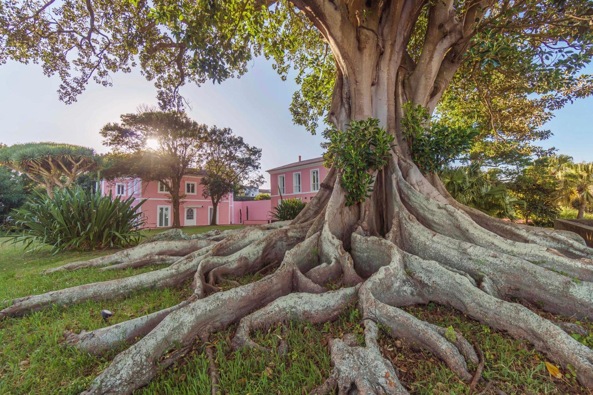 Solar Dos Cantos Botanic House & Garden Понта-Делгада Екстер'єр фото